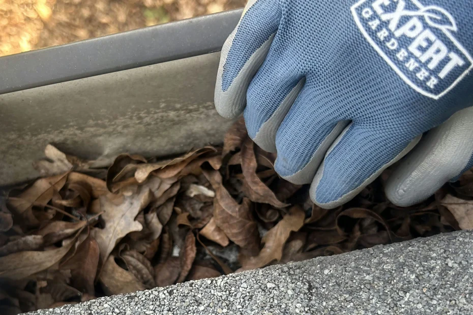 Gutter Cleaning Mount Rainier