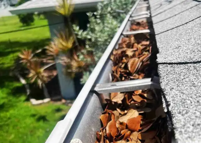 Gutter Cleaning Mount Rainier home page